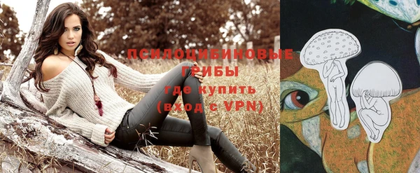 гидра Алексин