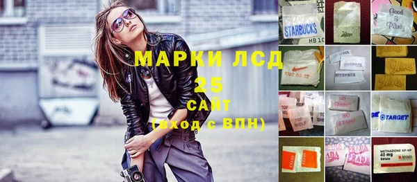 стаф Арсеньев