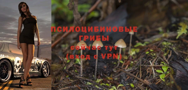 гидра Алексин